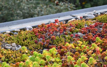 the cost of Eryrys green roof installation