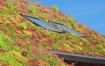 Eryrys living roof systems